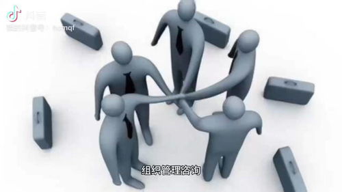 組織管理咨詢與軟件開發 協同創新的關鍵路徑