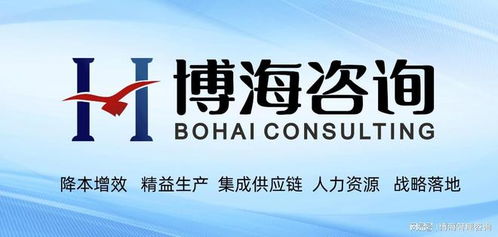 廣東6S精益管理咨詢公司 以軟件開發(fā)為引擎，實現(xiàn)企業(yè)成本優(yōu)化新突破
